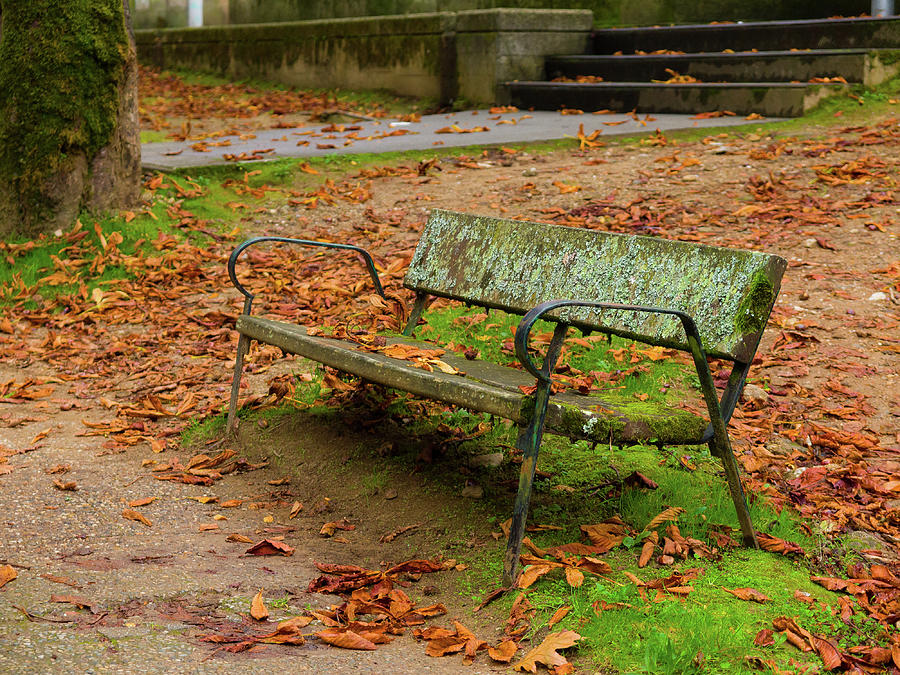 Old Bench Park - Campus Sur - Compostela Photograph by By Lansbricae (luis Leclere)