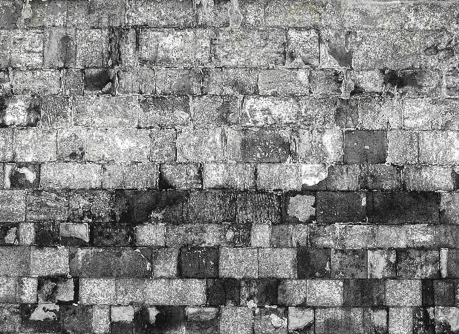 Old Bricks Digital Art by Stephanie Grant
