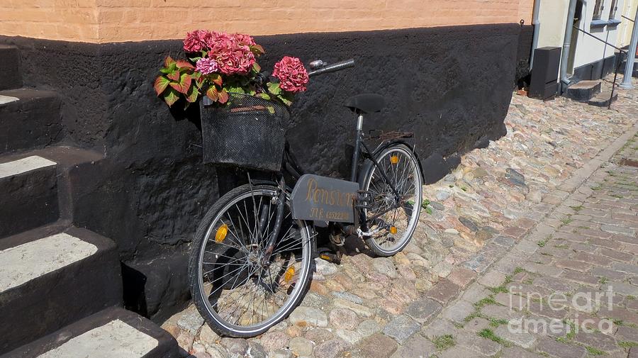 Old bicycle Photograph by Susanne Baumann