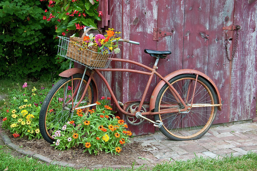 Bicycle Photograph - Old Bicycle With Flower Basket Next by Richard and Susan Day