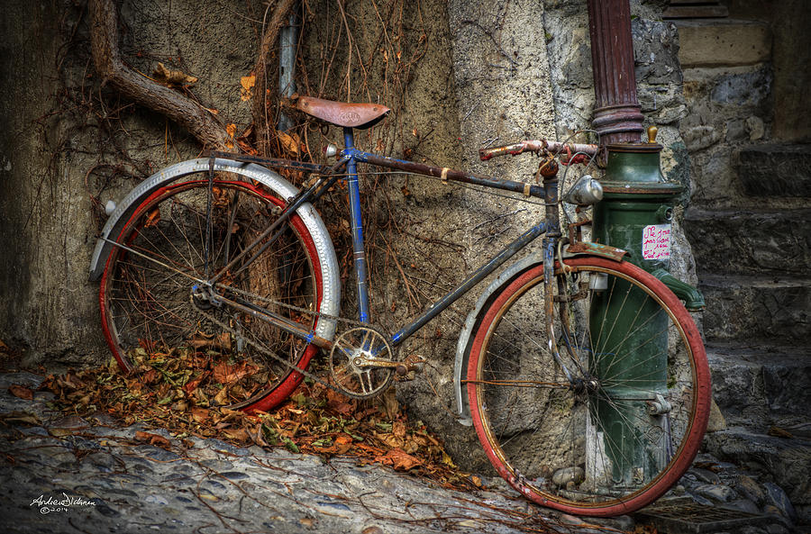 Old Bike Photograph by Andrew Dickman