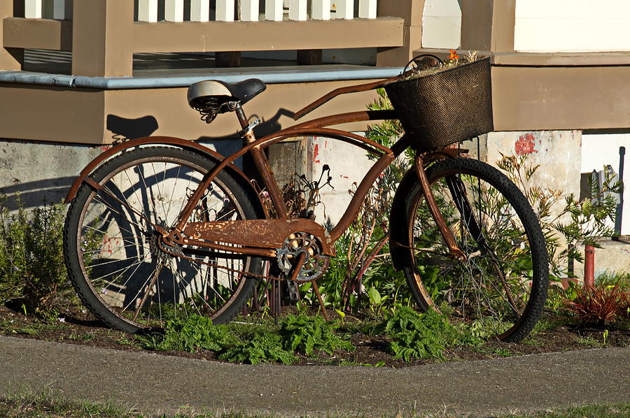 Old Bike Planter Photograph