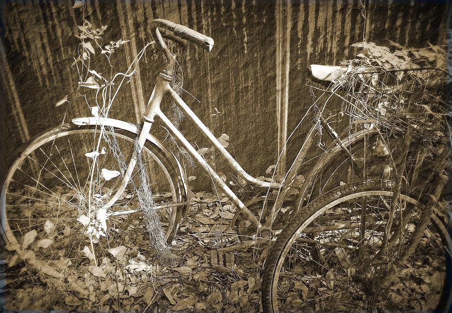 Old Bikes Photograph by Laurie Perry