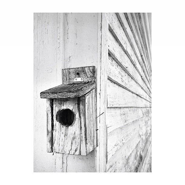 Love Photograph - Old Bird House And Vanishing Lines by Deana Graham