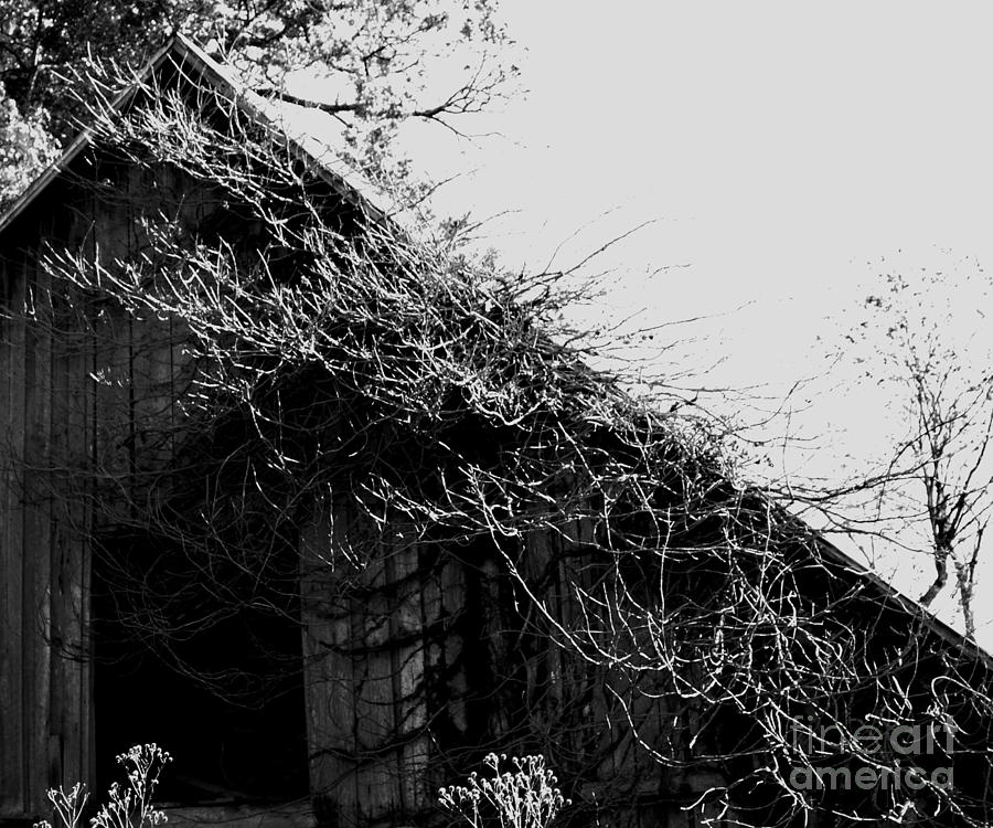 Old Black And White Barn Photograph by Linda Cox