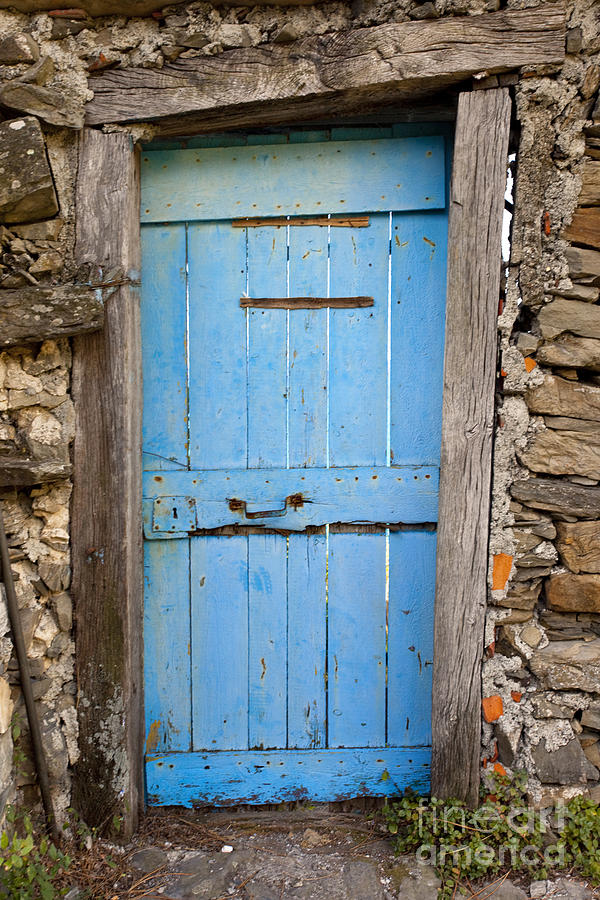 Old Blue Door Photograph by Brian Jannsen