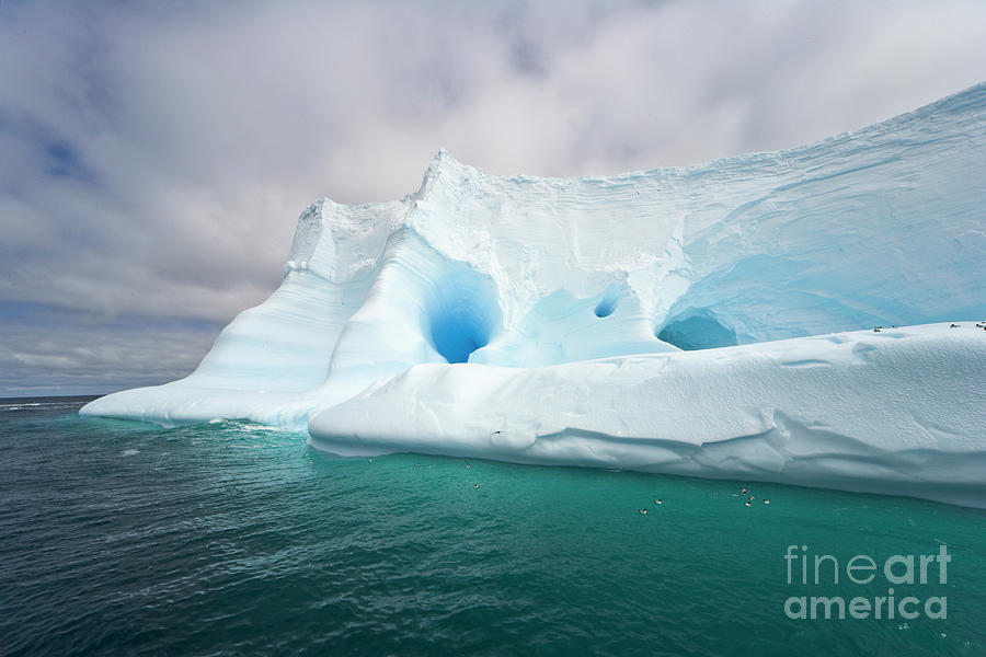 Blue Iceberg  Near South Georgia Photograph by Yva Momatiuk John Eastcott