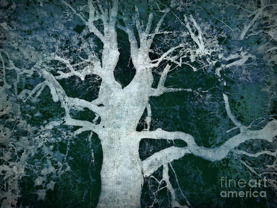 Old Blue Tree Photograph by Patricia Strand