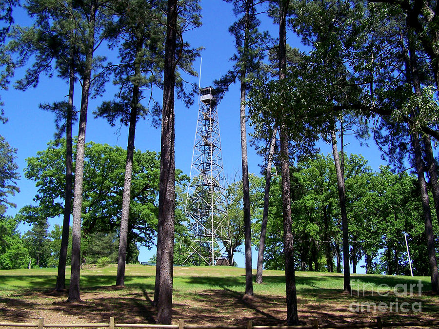 Old Bodcau Fire Tower in Louisiana Photograph by Kathy  White