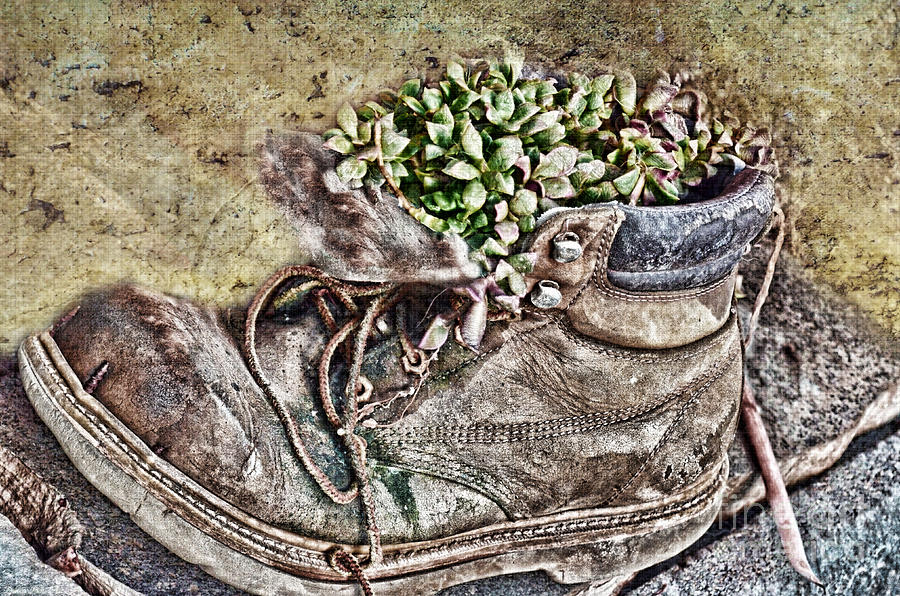 Old Boot flowerpot Photograph by Debbie Portwood