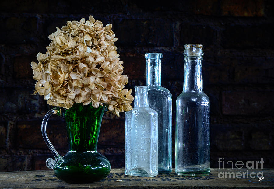 Still Life Photograph - Old Bottles by Alana Ranney