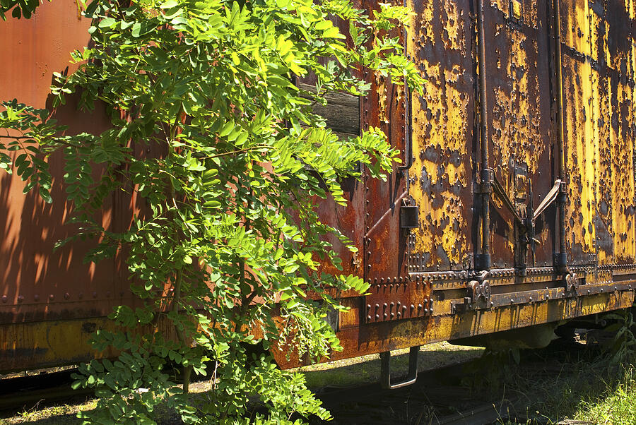 Railroad Photograph - Old Boxcar Dying Slowly by Paul W Faust -  Impressions of Light