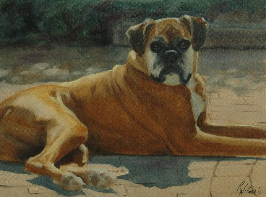 Dog Painting - Old Boxer by Pet Whimsy  Portraits