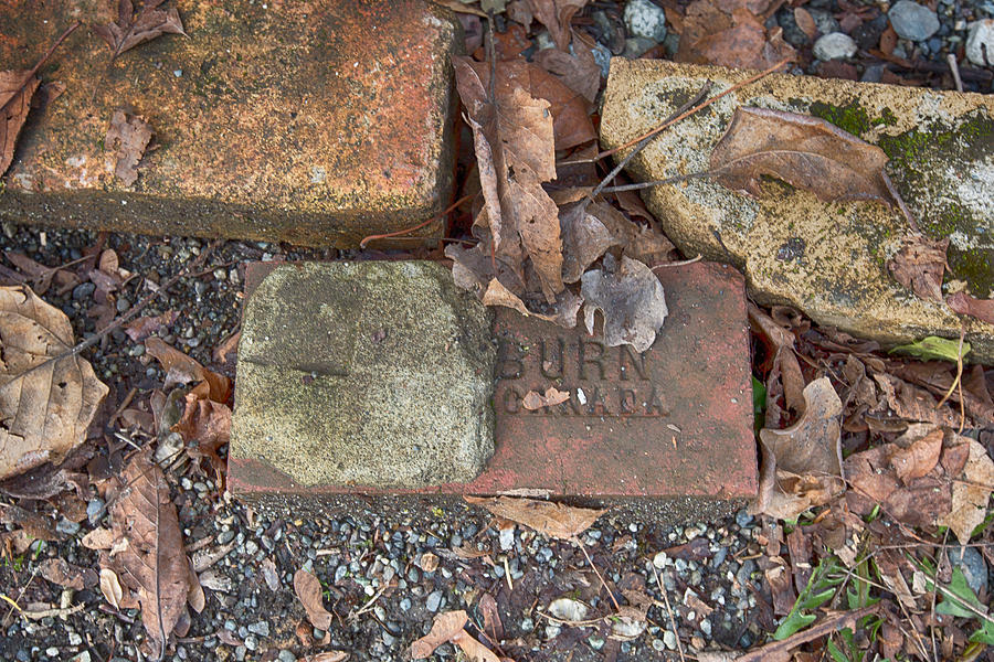 Old bricks  Photograph by Eti Reid