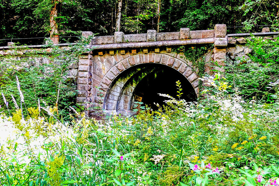 Old Bridge in Black Forest Germany Photograph by Marilyn Burton
