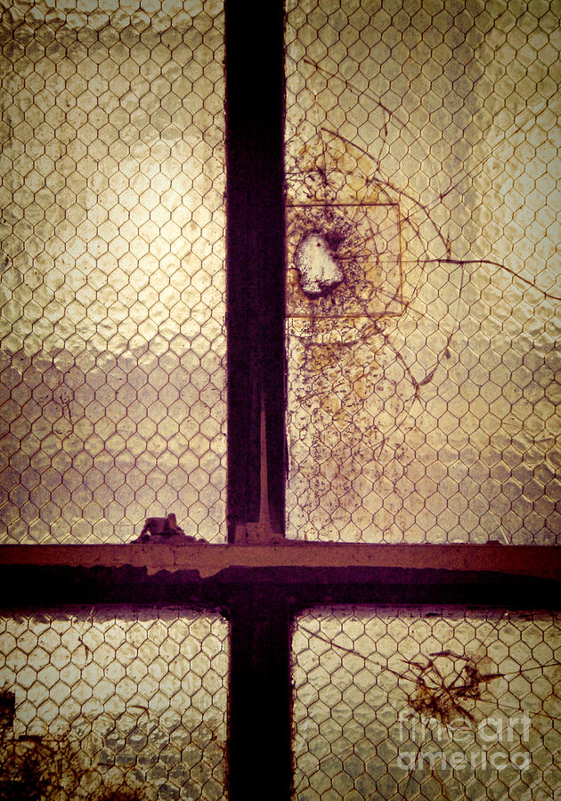 Vintage Photograph - Old Broken Window by Jill Battaglia