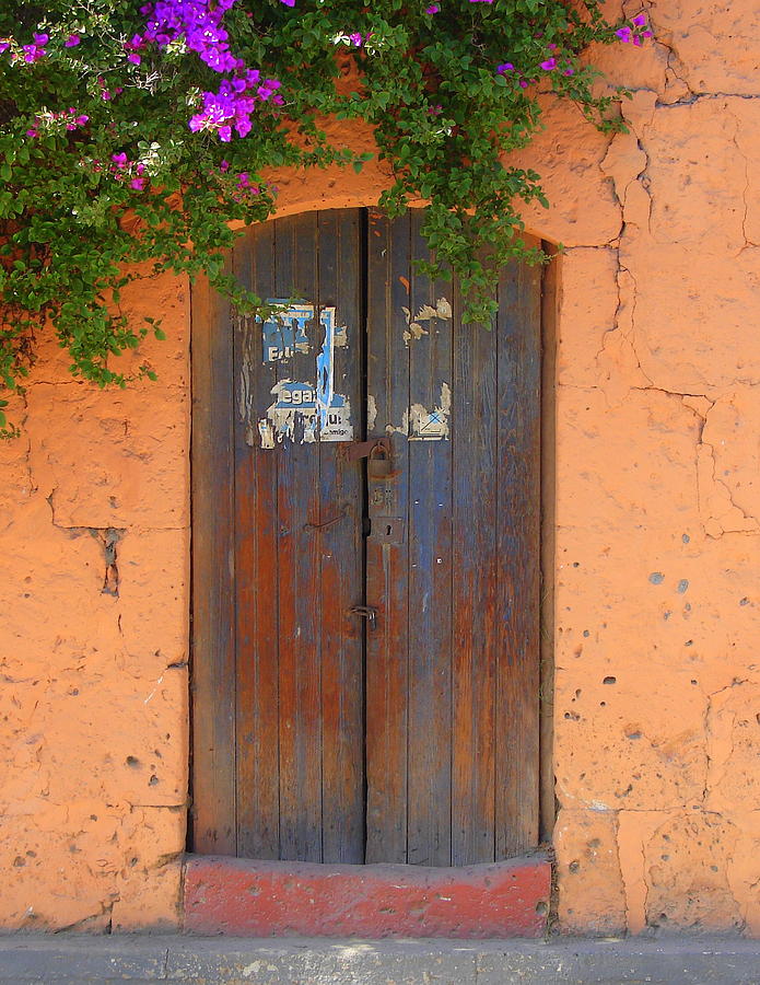 Door Photograph - Old Brown Door 3 by Lew Davis