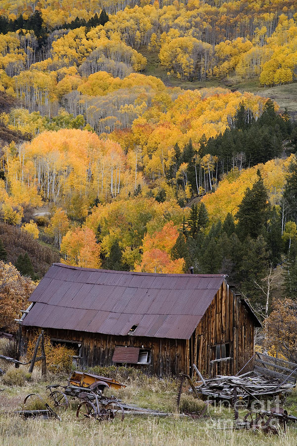 Old Building Near Telluride, Co Photograph by Sean Bagshaw