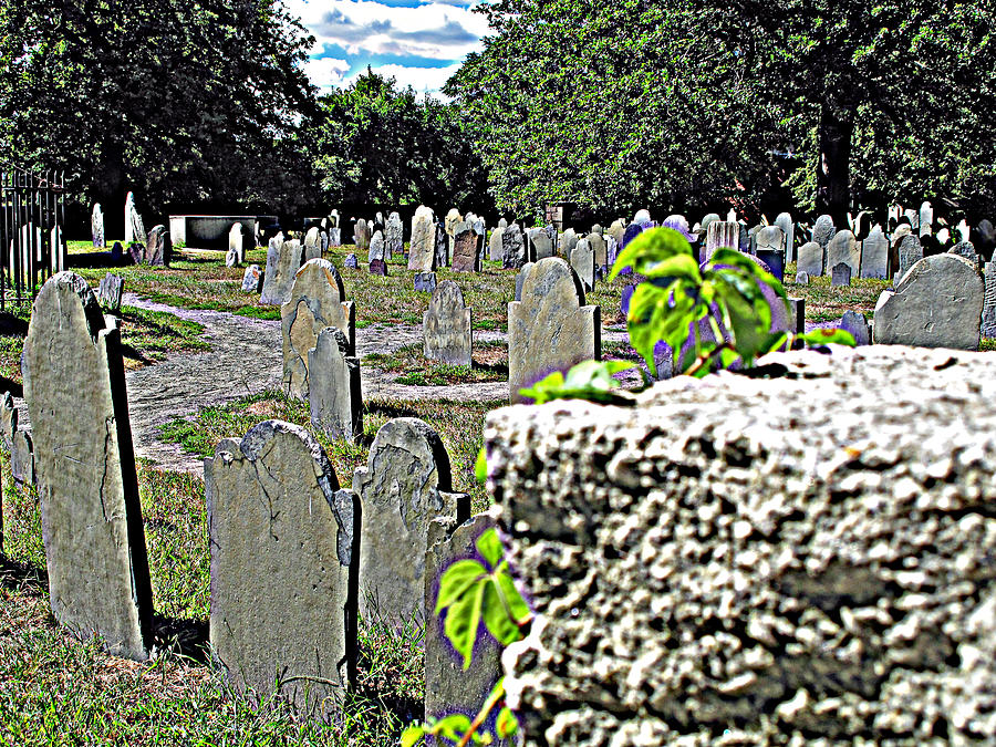 Old Burying Point Cemetery Photograph by Barbara McDevitt