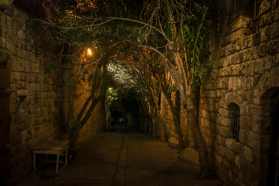 Old Byblos Photograph by Dave Hall