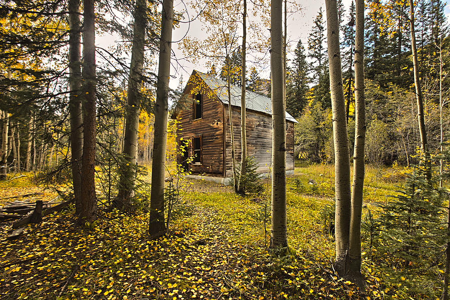 Old Cabin in Iron Town Colorado Photograph by James Steele
