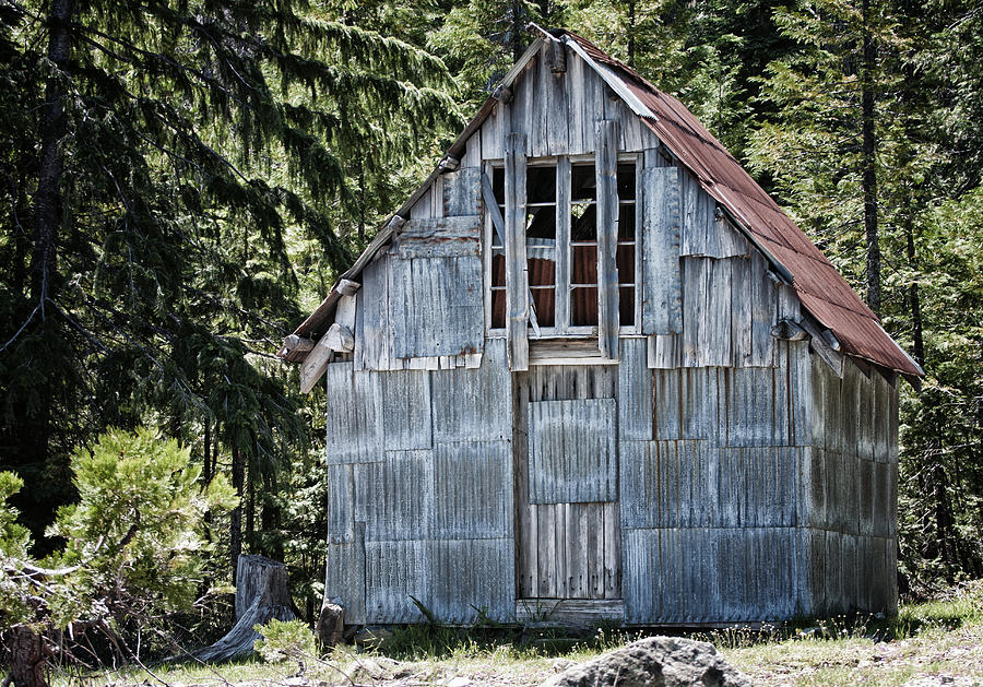 Old Cabin in the Woods Photograph by Betty Depee