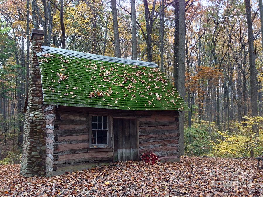 Old Cabin In Woods Photograph by Iris Posner