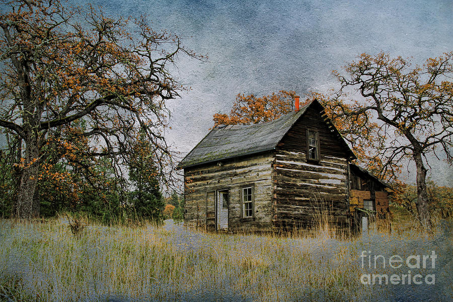 Old Cabin Photograph by Steve McKinzie