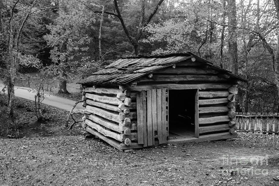 Old Cabin Photograph by Terri Morris