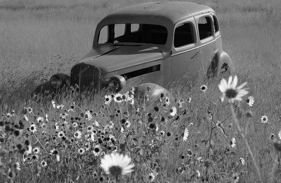 Old Car Photograph by Leticia Latocki