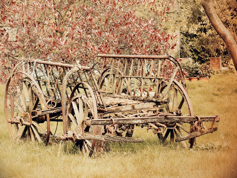 Old Cart Photograph