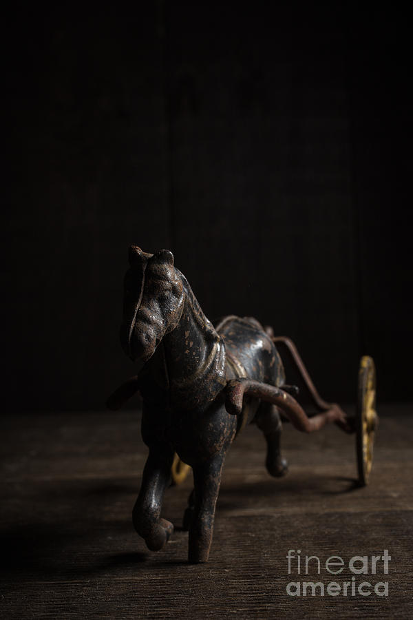 Old Cast Iron Toy Horse Photograph by Edward Fielding