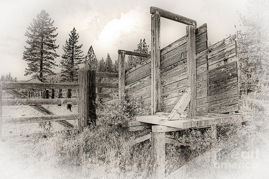 Old Cattle Ramp Photograph by Dianne Phelps
