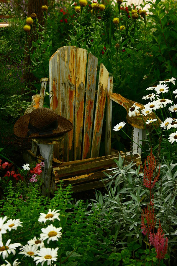 Old Chair in Garden Photograph by Paula Brown