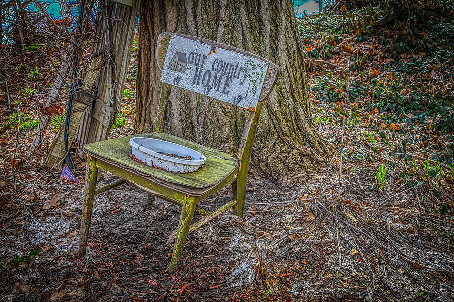 Old Chair Photograph by Ray Congrove