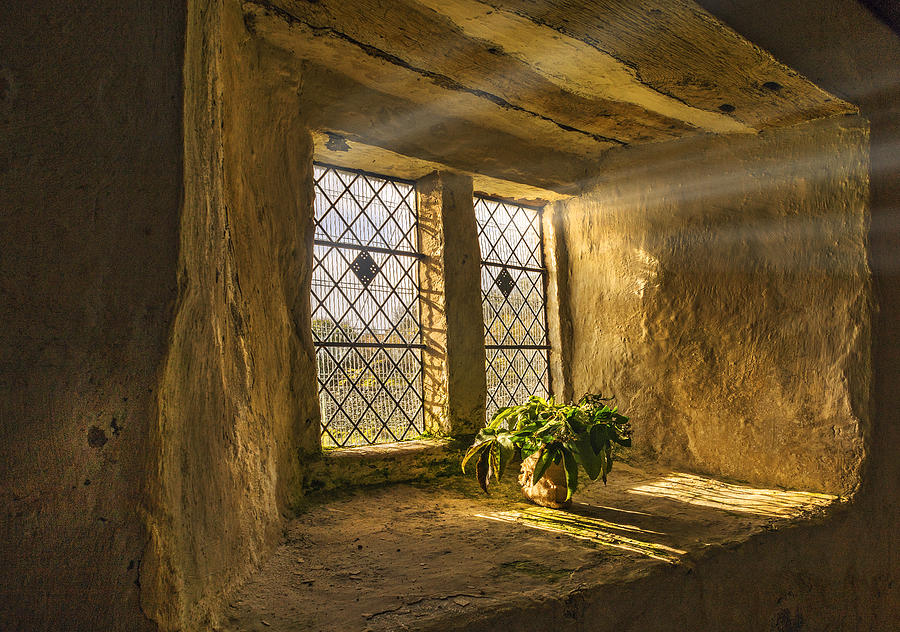 Old Chapel Window Sill Photograph by Mal Bray