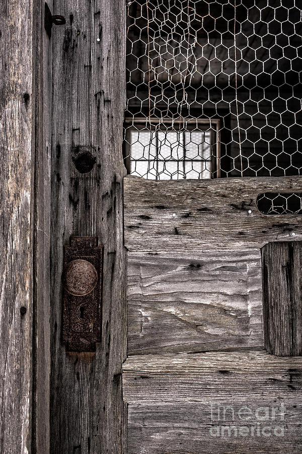 Winter Photograph - Old Chicken Coop by Edward Fielding
