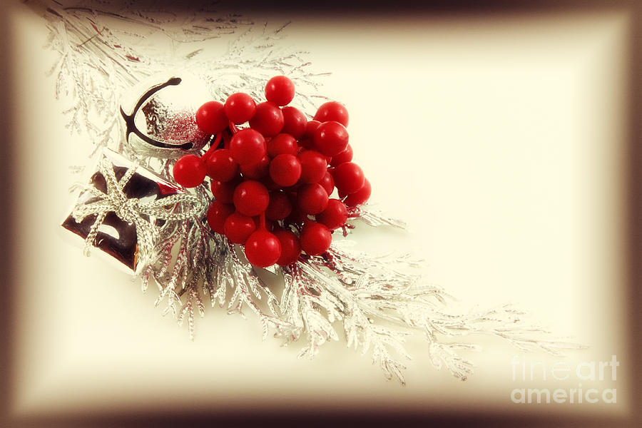 Old Christmas Ornaments Photograph by Charline Xia