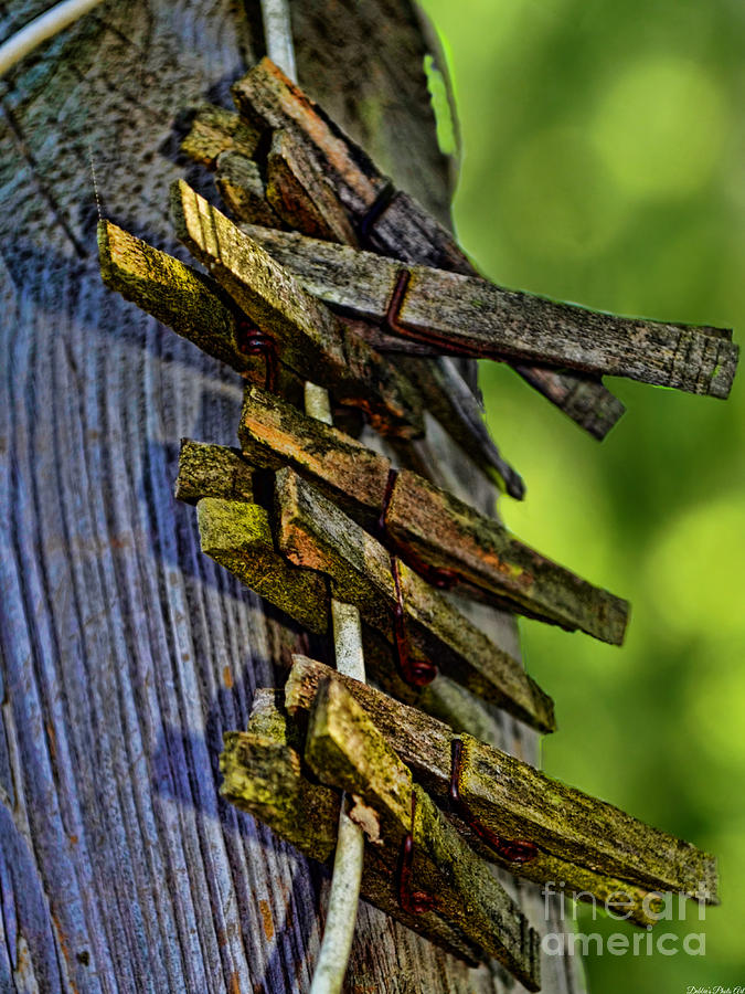 Old Clothes Pins I Photograph by Debbie Portwood