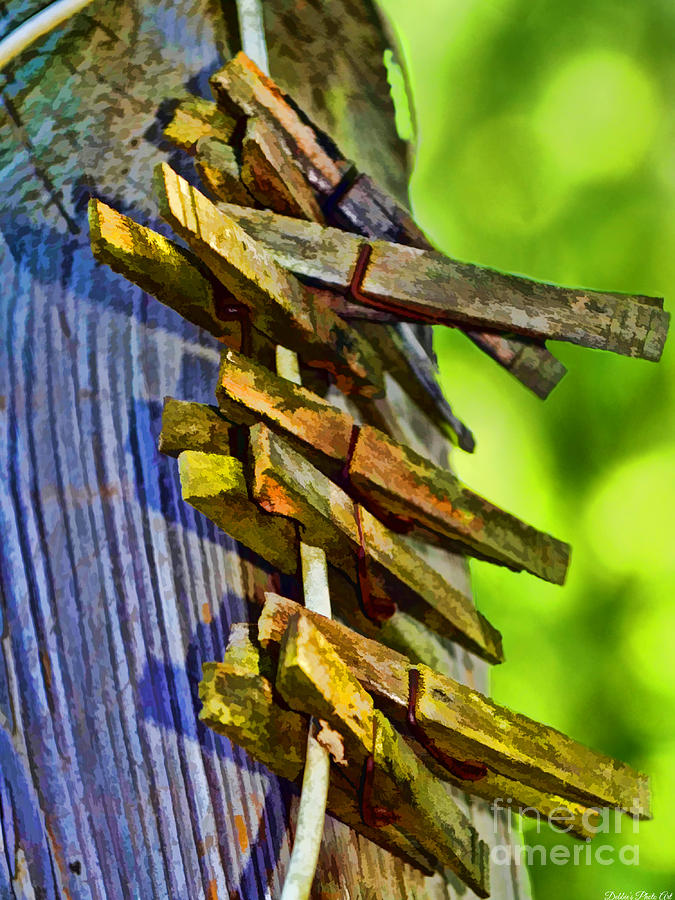 Old Clothes Pins II - Digital paint Photograph by Debbie Portwood
