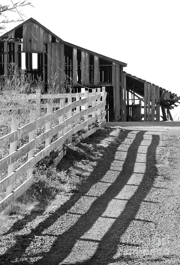 White Fence Photograph - Old Coastside Barn by Amy Fearn