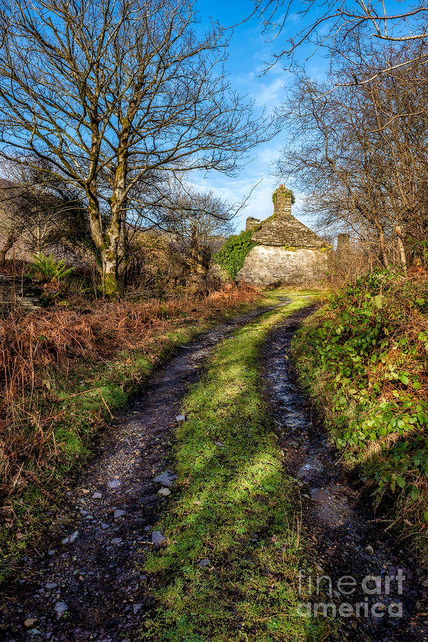 Winter Photograph - Old Cottage by Adrian Evans