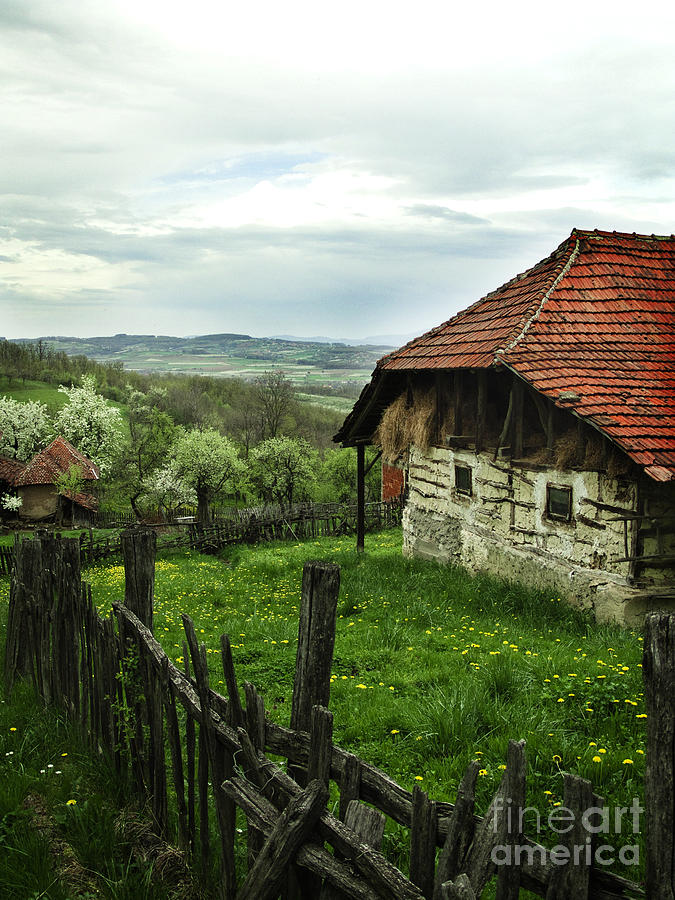 Old Cottage Photograph by Jelena Jovanovic