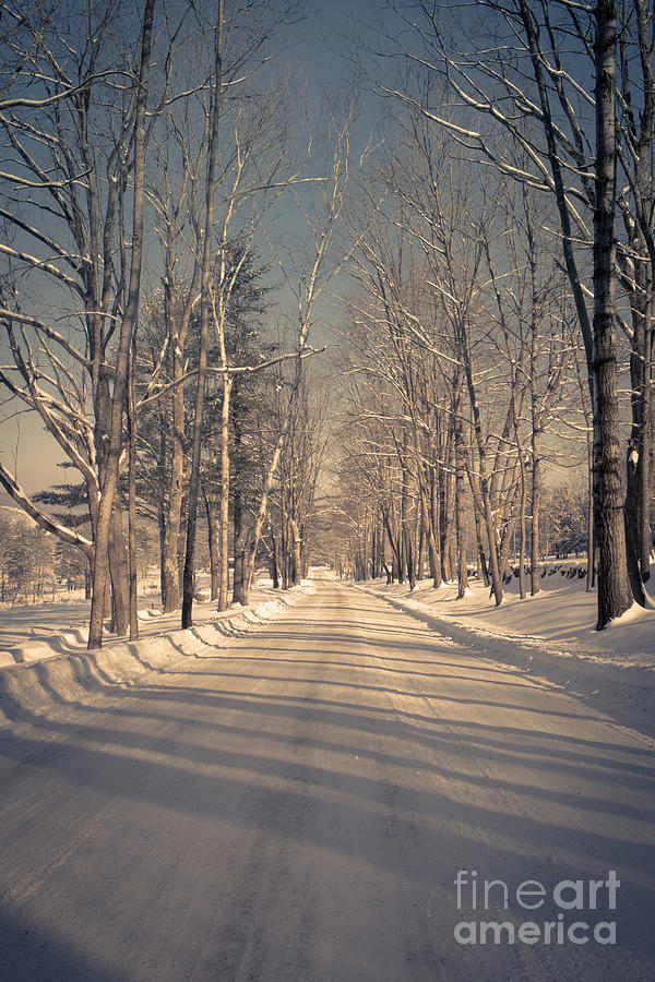 Winter Photograph - Old country road by Edward Fielding