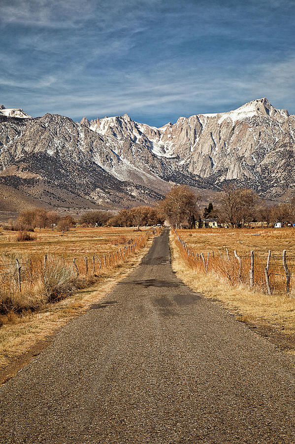 Old Country Road In Eastern Sierra Photograph by Alice Cahill
