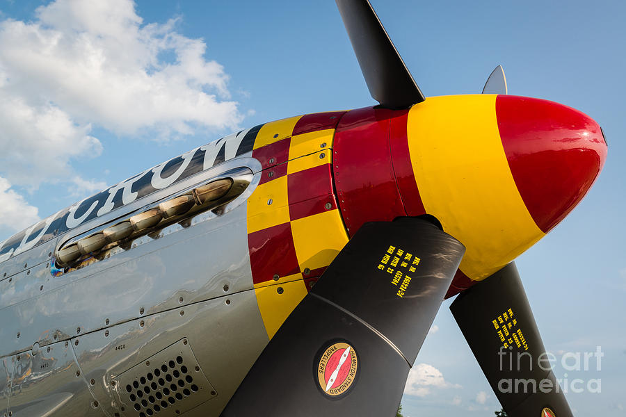 Old Crow P-51 Photograph by Paul Quinn