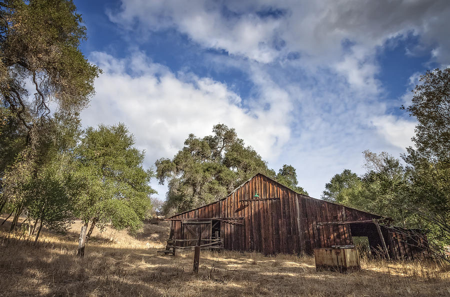 Old Daley Ranch Ban Photograph by Dave Hall