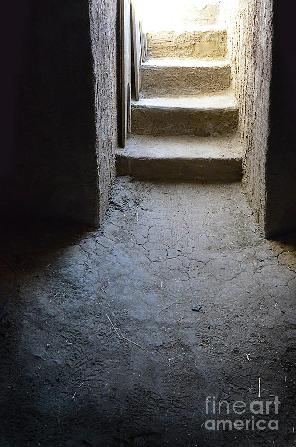 Old Dirt Cellar Steps Photograph by Jill Battaglia
