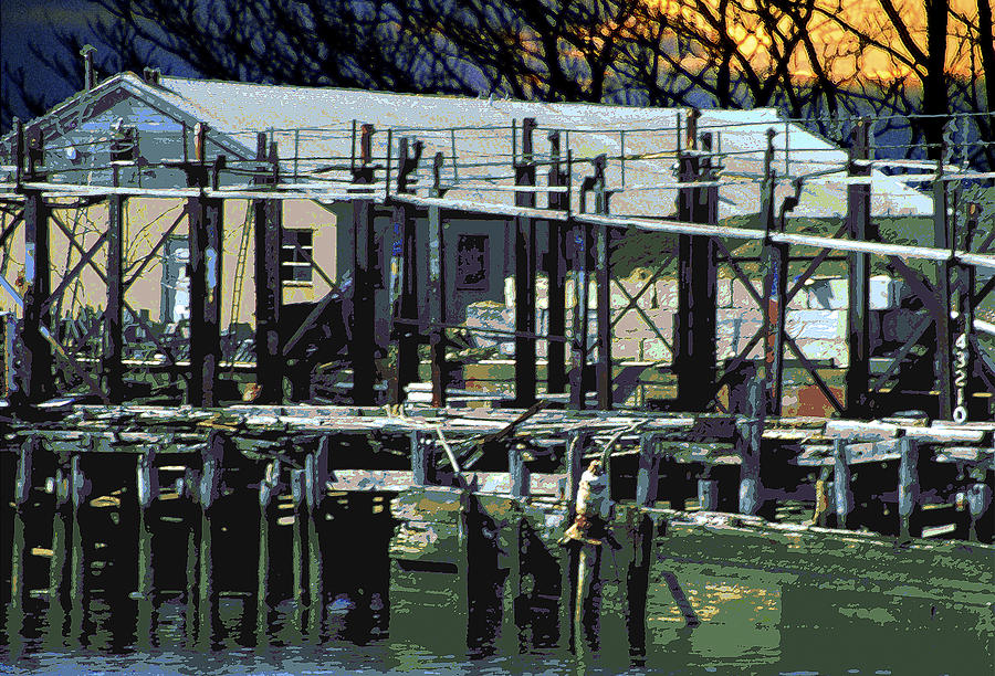 Tree Photograph - Old Dock by Bob Slitzan