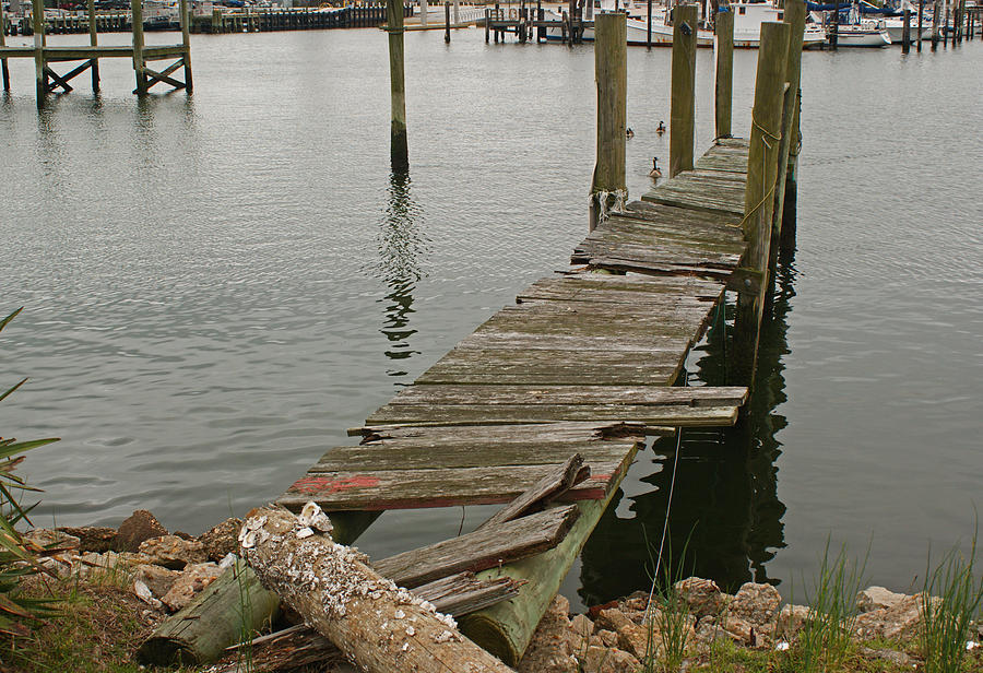 Old Dock Photograph by Steve Breslow